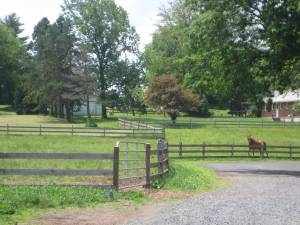 Flying Horse Farm Pasture